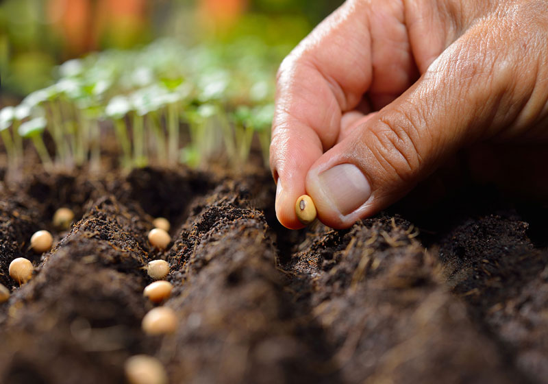 Vasto assortimento di prodotti ed accessori per giardinaggio a pavia, piacenza e lodi