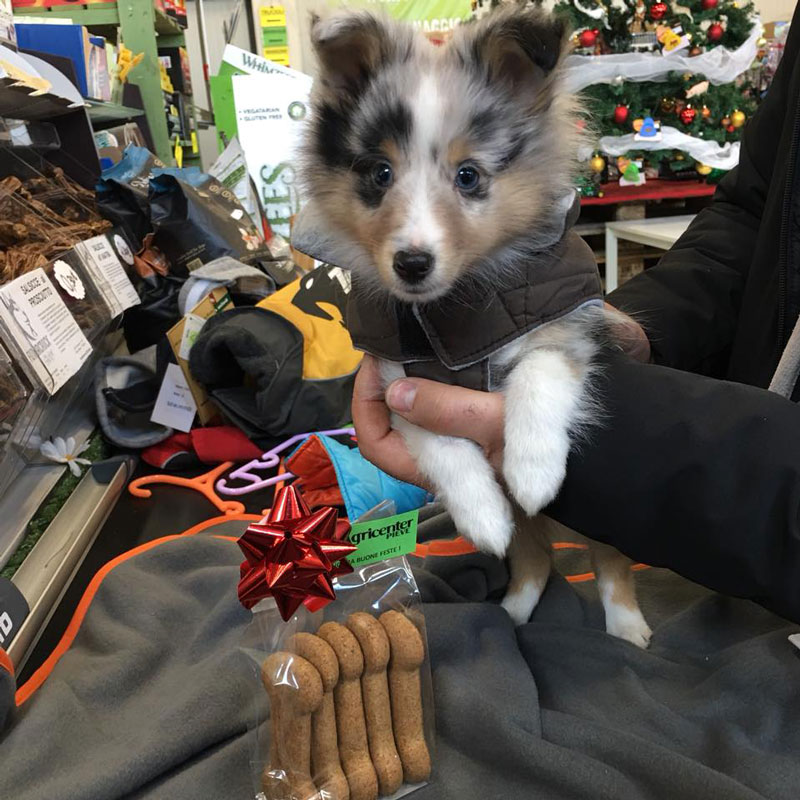 Vasto assortimento di prodotti ed accessori per animali ed agricoli a pavia, piacenza e lodi