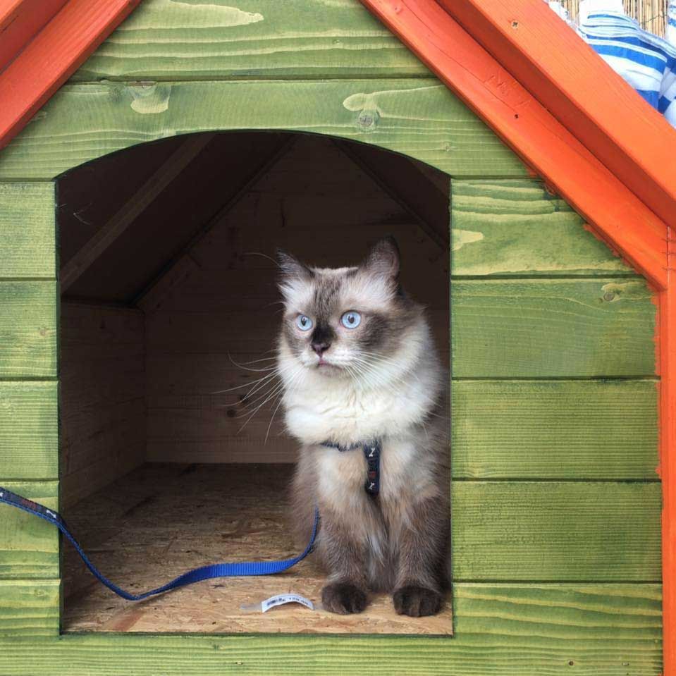 Vasto assortimento di prodotti ed accessori per animali ed agricoli a pavia, piacenza e lodi