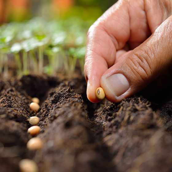 Vasto assortimento di prodotti ed accessori per giardinaggio a pavia, piacenza e lodi