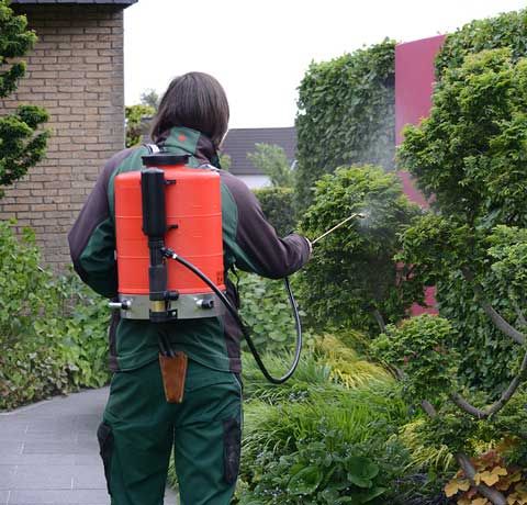 Pompe, nebulizzatori, innaffiatoi per il giardinaggio a Agricenter Pieve, pieve porto morone,pavia ,piacenza, lodi